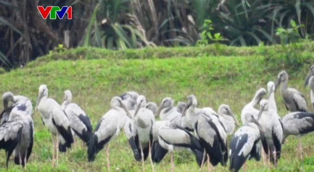 Bẫy ảnh ph&aacute;t hiện nhiều động vật qu&yacute; hiếm tại Khu Bảo tồn P&ugrave; Hu, Thanh H&oacute;a - Ảnh 1.