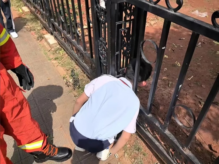 Giận mẹ, nữ sinh 12 tuổi mắc kẹt trong máy giặt, cứu hộ ra tay - Ảnh 2.