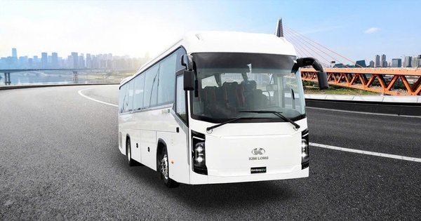 Sau gạo và sầu riêng, thêm một mặt hàng của Việt Nam trở thành đối thủ lớn của Thái Lan: Nước ta thu hơn 372 triệu USD từ đầu năm - Ảnh 2.