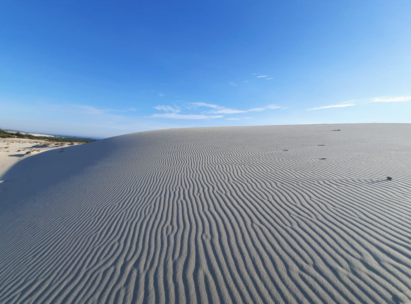 Sở hữu "kho báu" hàng ngàn tấn, tỉnh miền Trung Việt Nam muốn trở thành trung tâm sản xuất nguyên vật liệu bán dẫn, đề xuất hai dự án hơn 8 tỷ USD - Ảnh 1.