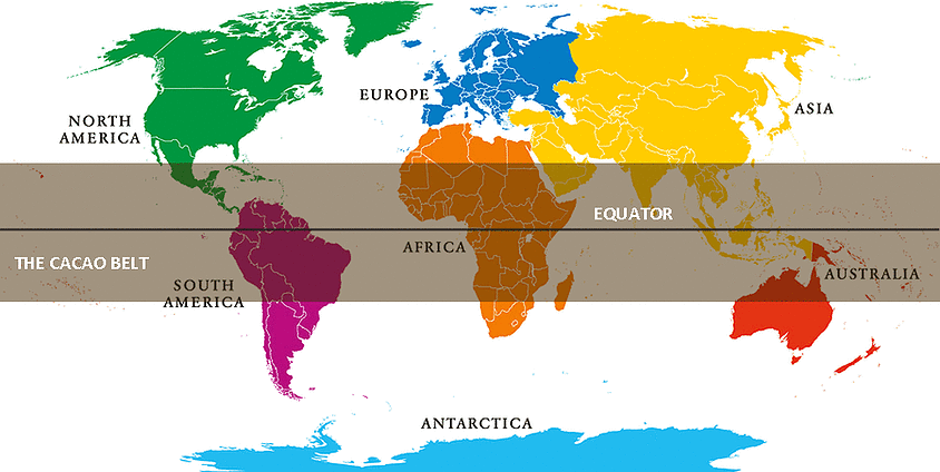 Việt Nam sở hữu cacao "kim cương đen" cực kỳ cao cấp: Cả thế giới chỉ 20 nước được công nhận! - Ảnh 2. Việt Nam sở hữu cacao "kim cương đen" cực kỳ cao cấp: Cả thế giới chỉ 20 nước được công nhận! - Ảnh 2.