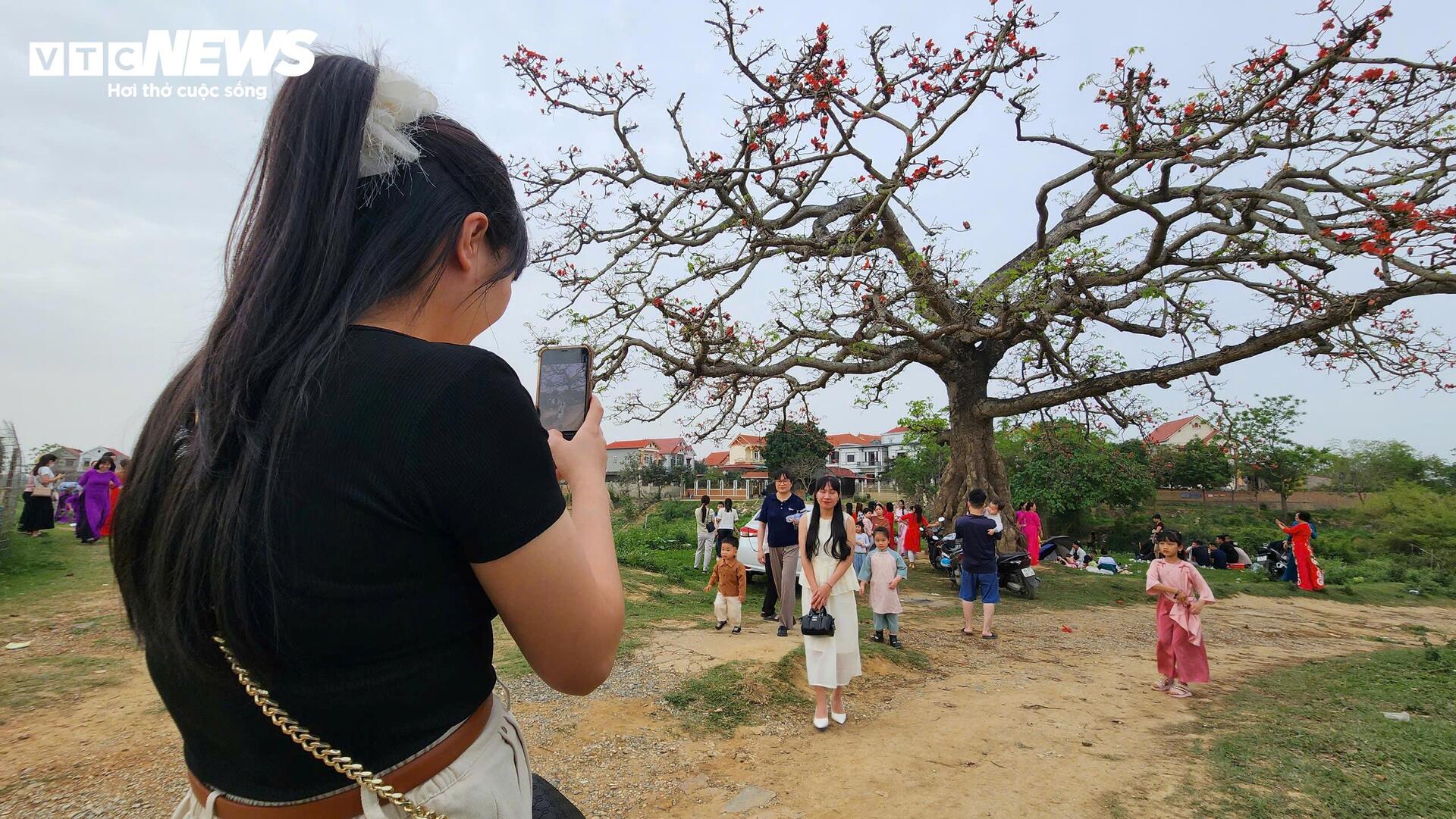 Check - in cây hoa gạo trăm tuổi tại ngã ba Xà , nơi phát tích bài thơ thần - Ảnh 3.