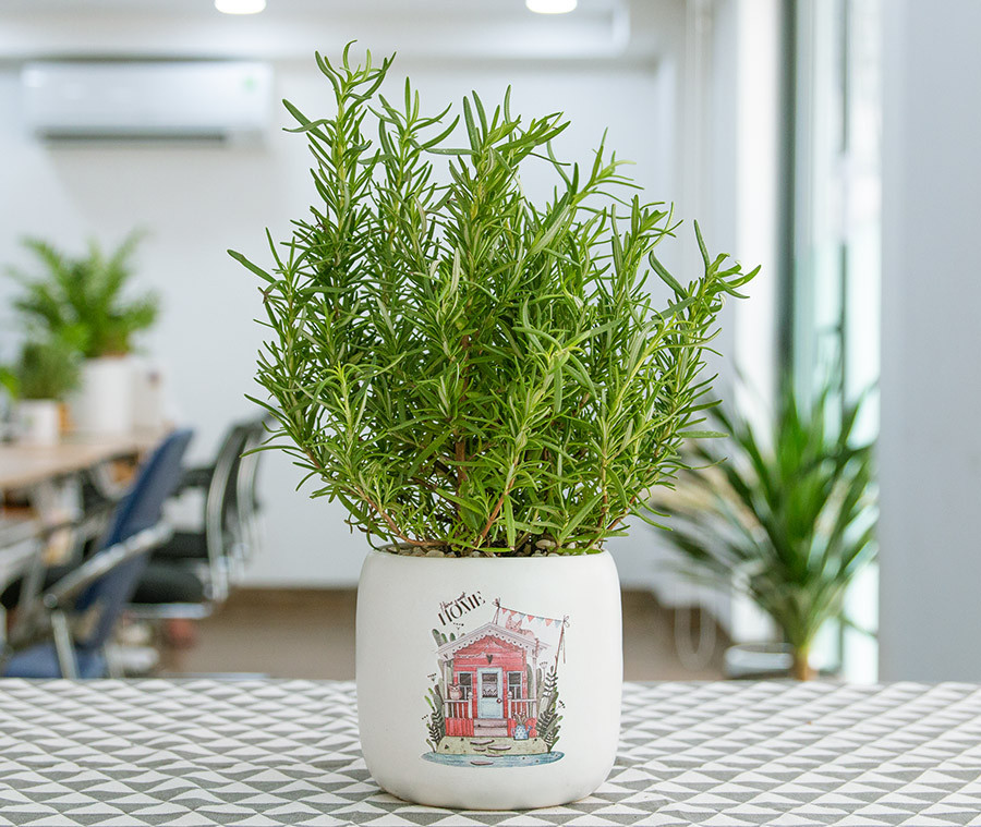 5 vật nhỏ n&ecirc;n đặt cạnh gối ngủ để giữ t&agrave;i lộc kh&ocirc;ng &ldquo;đội n&oacute;n ra đi&rdquo;- Ảnh 3.