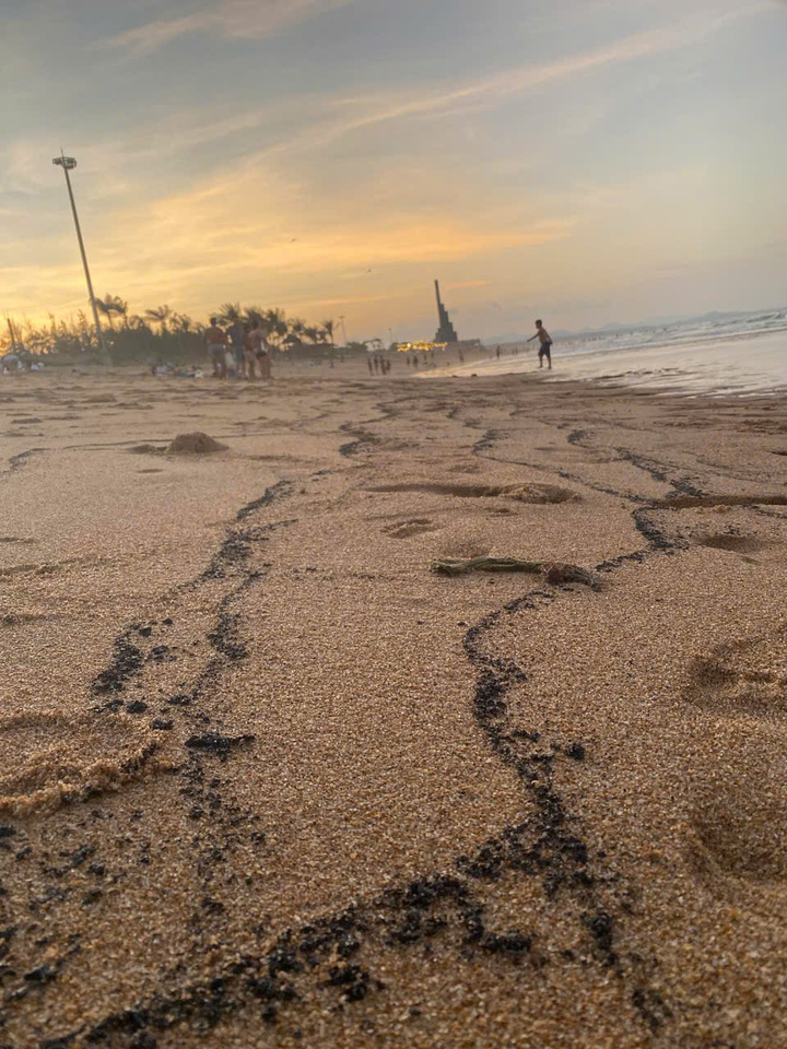 Dầu vón cục dính người tắm biển ở tuy hòa , Phú Yên gây lo lắng cho du khách - Ảnh 4.