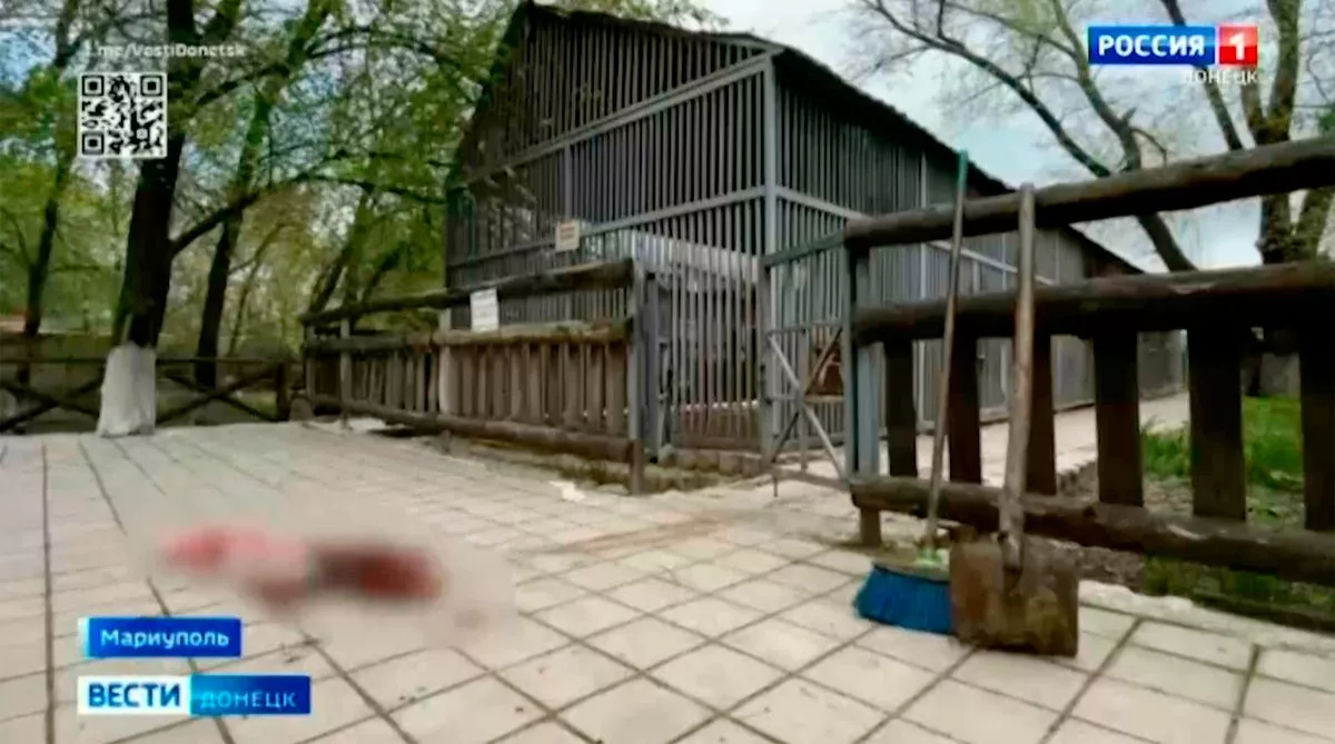 Người truyền cảm hứng cho toàn thế giới về tình yêu động vật bị hổ trắng vồ chết - Ảnh 3.