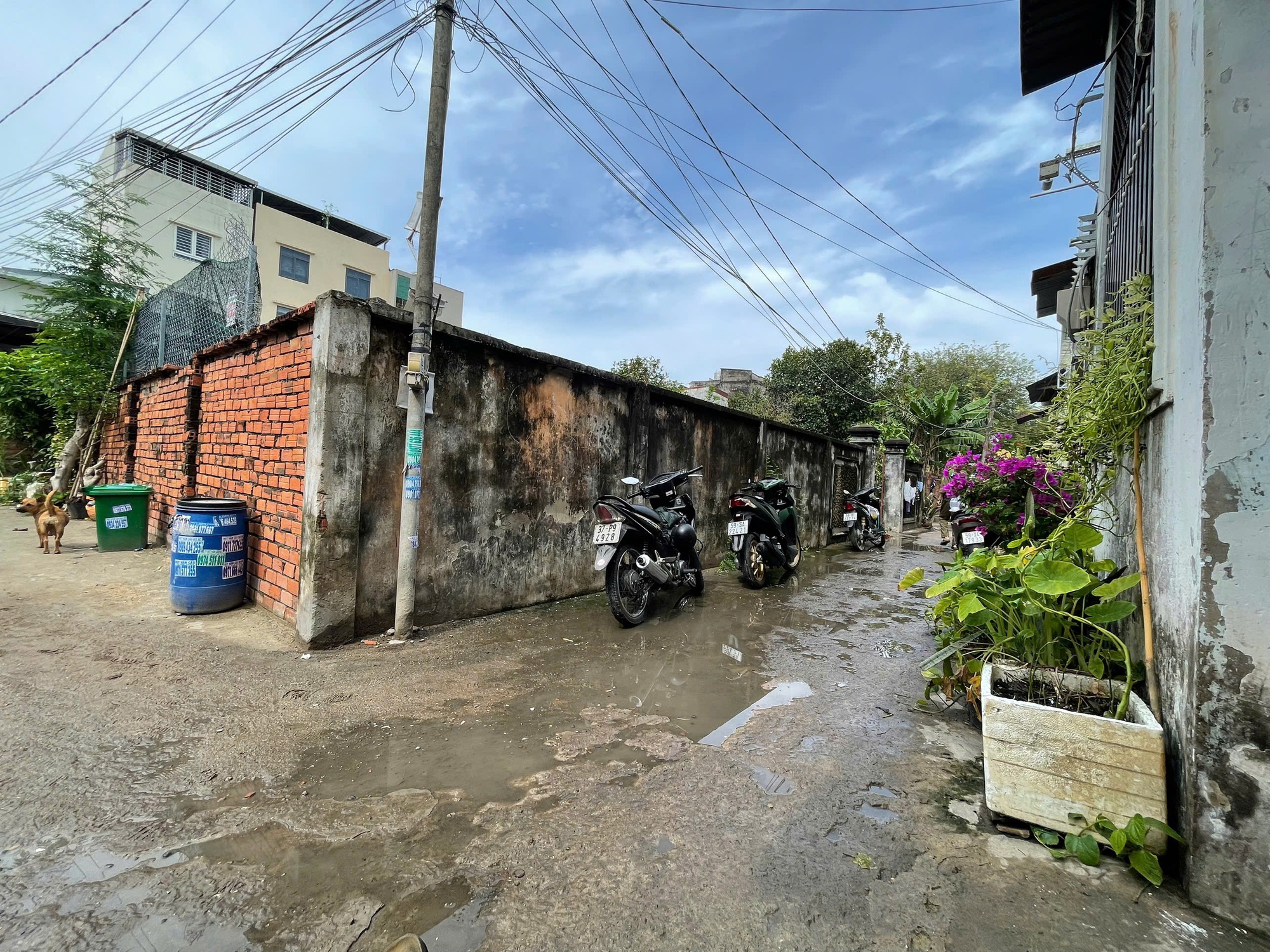 Công an TP HCM phong toả, điều tra vụ 3 người thương vong ở Thủ Đức - Ảnh 1.