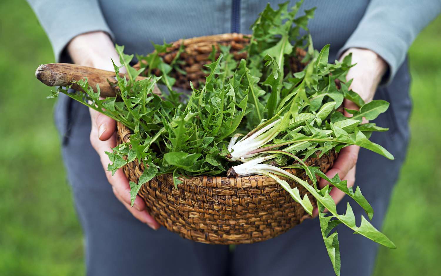 5 loại rau quả giúp mát gan, hạ men gan hiệu quả - Ảnh 2.