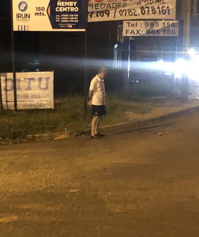 - Ảnh 1.