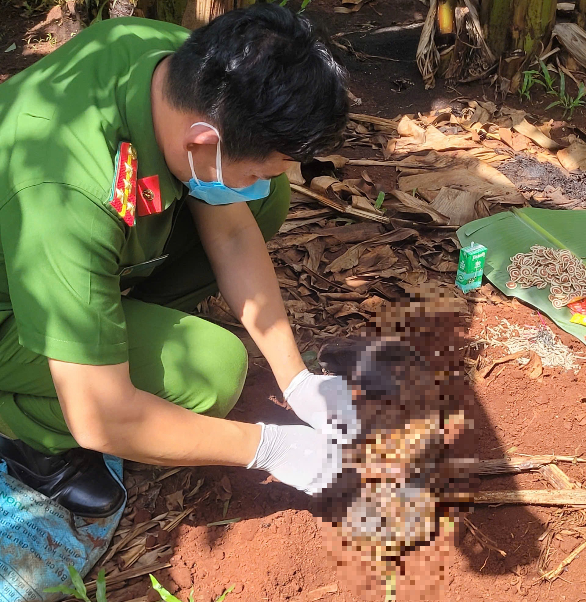 Phát hiện thi thể trẻ sơ sinh trong khu vườn ở Bà Rịa - Vũng Tàu - Ảnh 2. Phát hiện thi thể trẻ sơ sinh trong khu vườn ở Bà Rịa - Vũng Tàu - Ảnh 2.