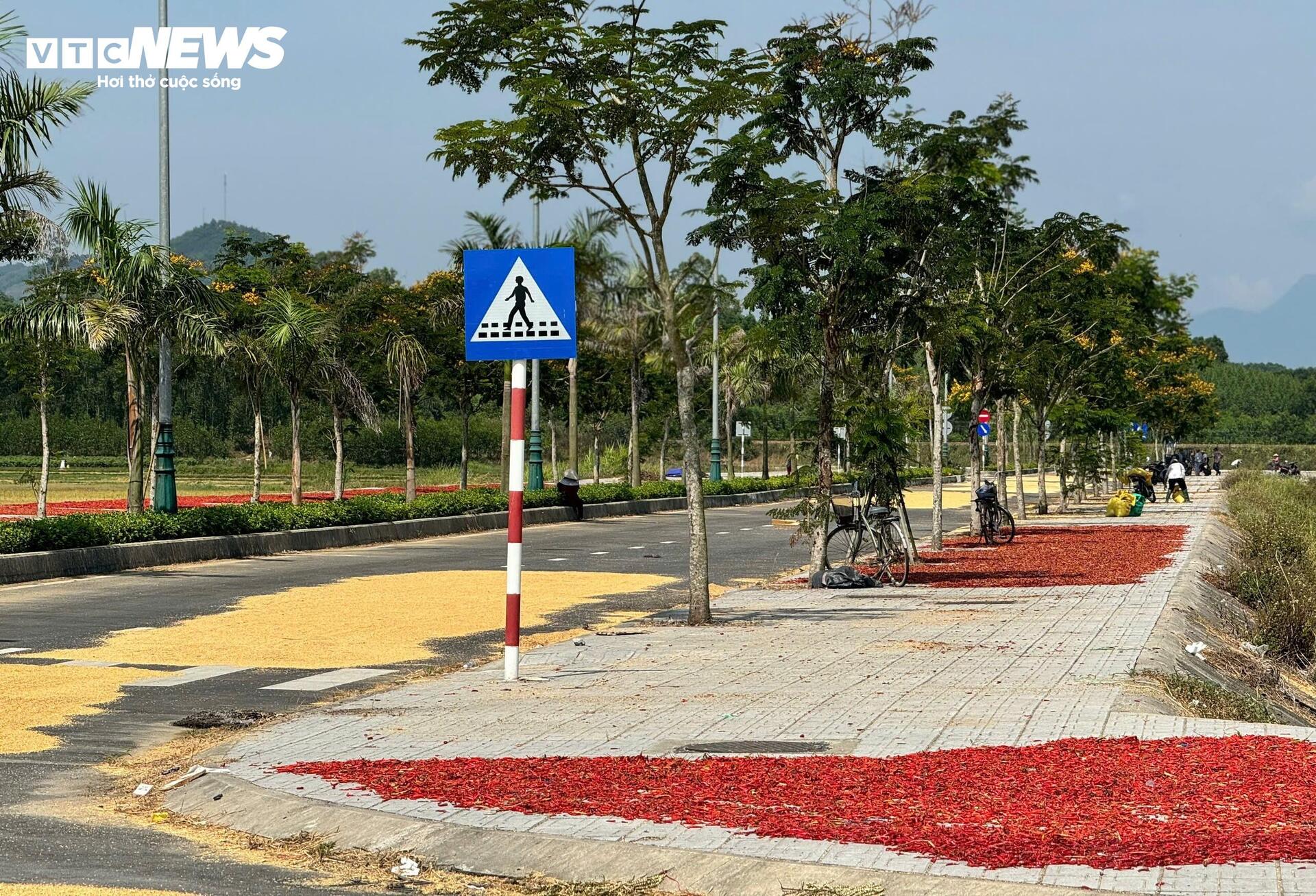 Đường Huyện Đội - Hóc Cam: Dự án 34 tỷ đồng chỉ để phơi nông sản - Ảnh 6. Đường Huyện Đội - Hóc Cam: Dự án 34 tỷ đồng chỉ để phơi nông sản - Ảnh 6.