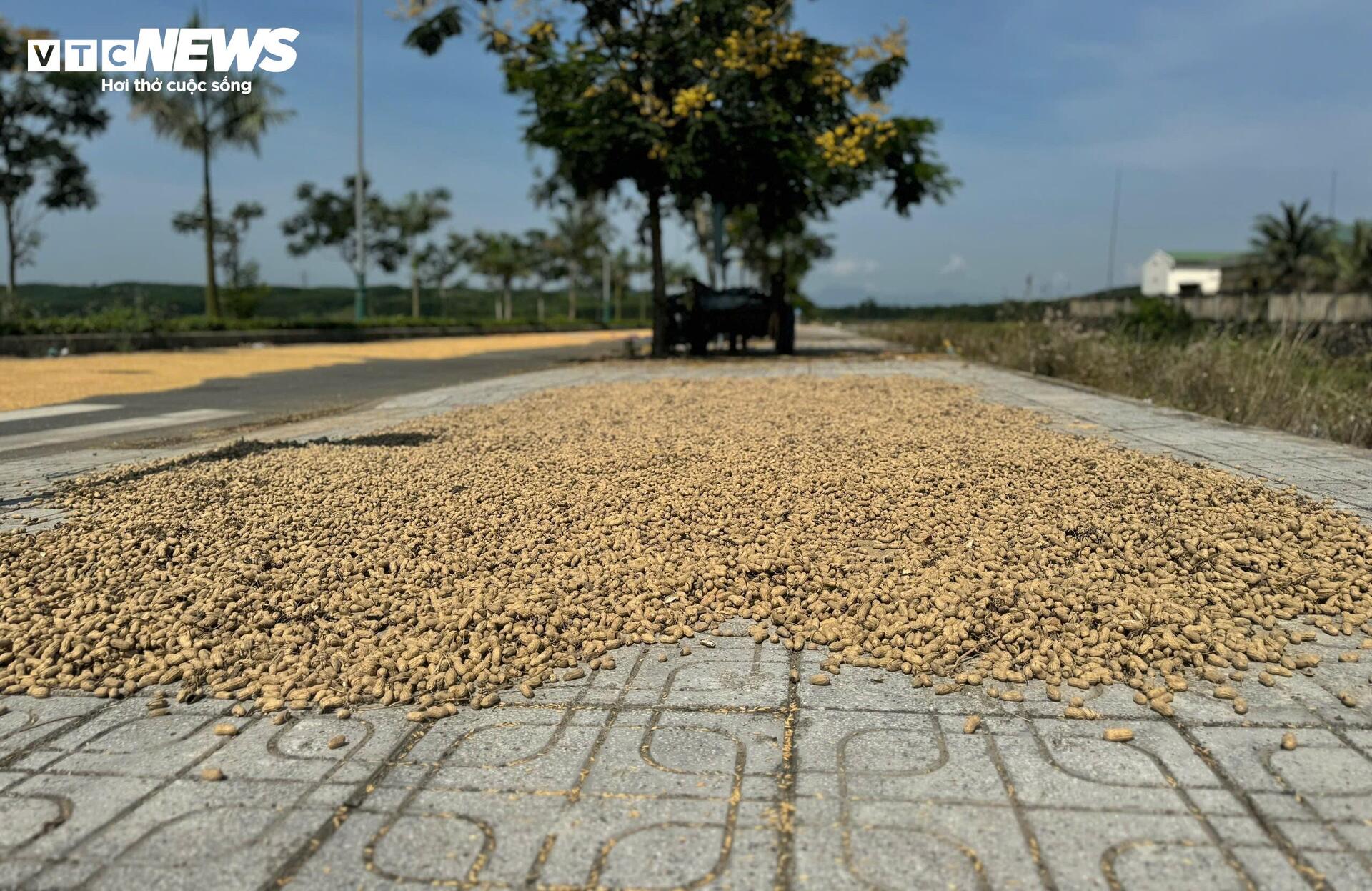 Đường Huyện Đội - Hóc Cam: Dự án 34 tỷ đồng chỉ để phơi nông sản - Ảnh 8. Đường Huyện Đội - Hóc Cam: Dự án 34 tỷ đồng chỉ để phơi nông sản - Ảnh 8.