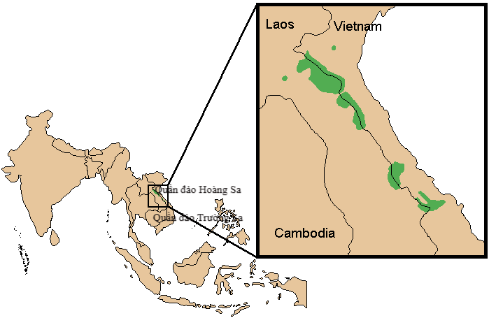 C&aacute;c nh&agrave; khoa học quốc tế phải t&igrave;m tới tận nh&agrave; thợ săn Việt Nam, để xin h&agrave;i cốt chứa DNA lo&agrave;i "kỳ l&acirc;n Ch&acirc;u &Aacute;": C&acirc;u chuyện về h&agrave;nh tr&igrave;nh 3 thập kỷ- t&aacute;i tạo bộ gen lo&agrave;i th&uacute; qu&yacute; hiếm cuối c&ugrave;ng được đặt t&ecirc;n tr&ecirc;n Tr&aacute;i Đất - Ảnh 12.