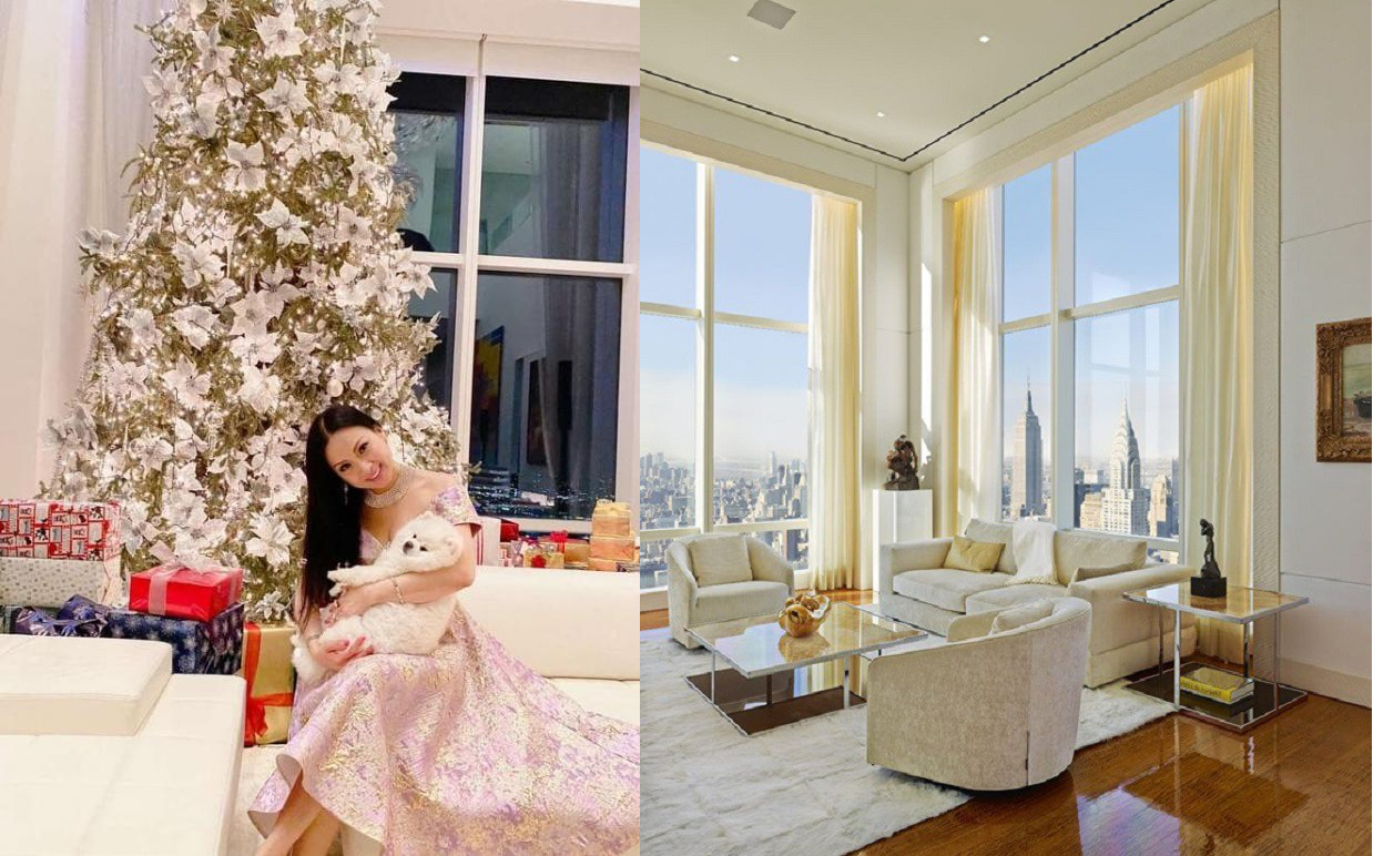 Ca sĩ Việt giàu nhất thế giới: Nơi ở như lâu đài, mua penthouse đắt nhất nước Mỹ, có nhà hát opera riêng - Ảnh 3. Ca sĩ Việt giàu nhất thế giới: Nơi ở như lâu đài, mua penthouse đắt nhất nước Mỹ, có nhà hát opera riêng - Ảnh 3.