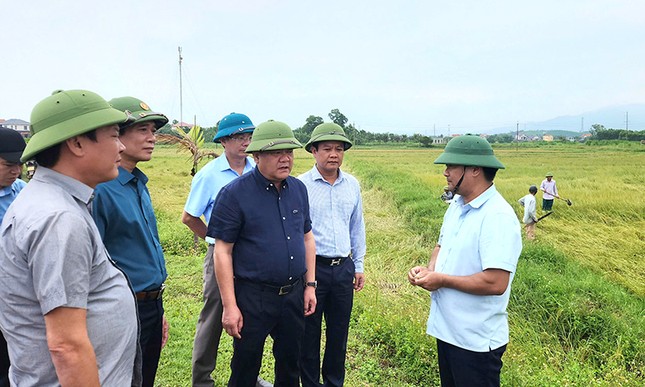 Chủ tịch UBND tỉnh Quảng Bình chỉ đạo khắc phục lúa đổ ngã do mưa lớn - Ảnh 1. Chủ tịch UBND tỉnh Quảng Bình chỉ đạo khắc phục lúa đổ ngã do mưa lớn - Ảnh 1.
