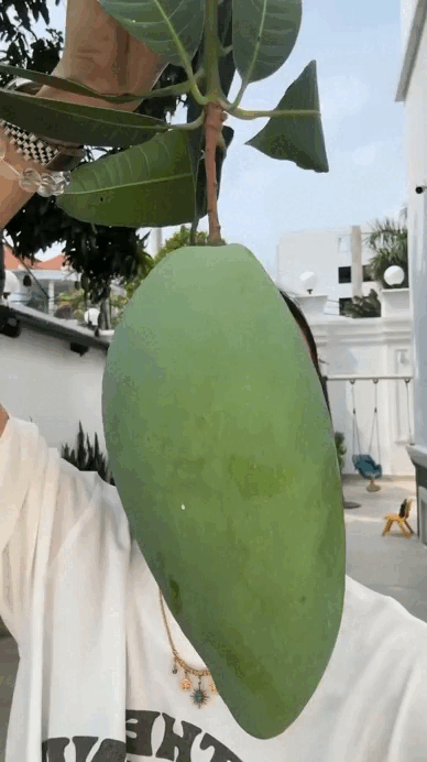 Loại cây ăn quả hút tiền, nhà giàu nào cũng trồng trong sân, biệt thự triệu đô của Tăng Thanh Hà không ngoại lệ!- Ảnh 4.