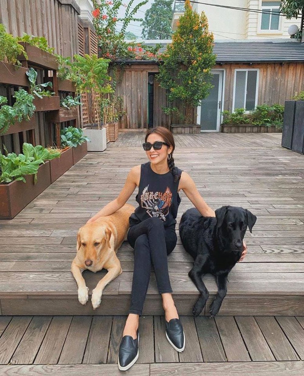 Loại cây ăn quả hút tiền, nhà giàu nào cũng trồng trong sân, biệt thự triệu đô của Tăng Thanh Hà không ngoại lệ!- Ảnh 1.