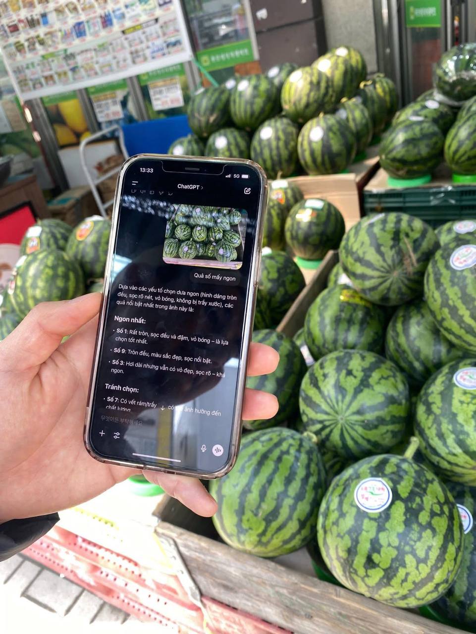 Chọn dưa hấu chuẩn như chuyên gia nhờ ChatGPT: Bí quyết từ AI giúp bạn - Ảnh 7.