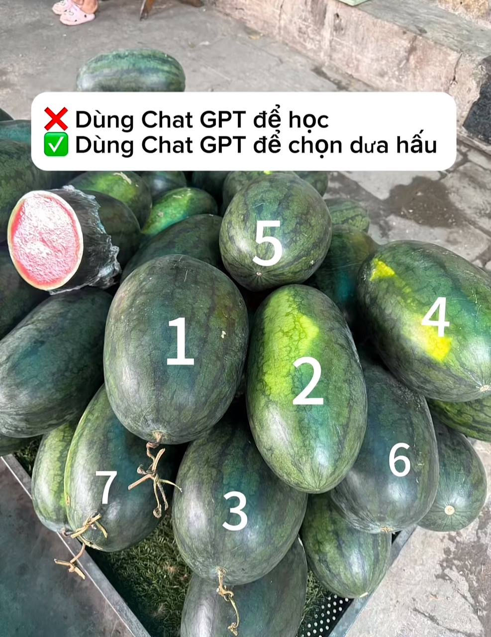 Chọn dưa hấu chuẩn như chuyên gia nhờ ChatGPT: Bí quyết từ AI giúp bạn - Ảnh 3.