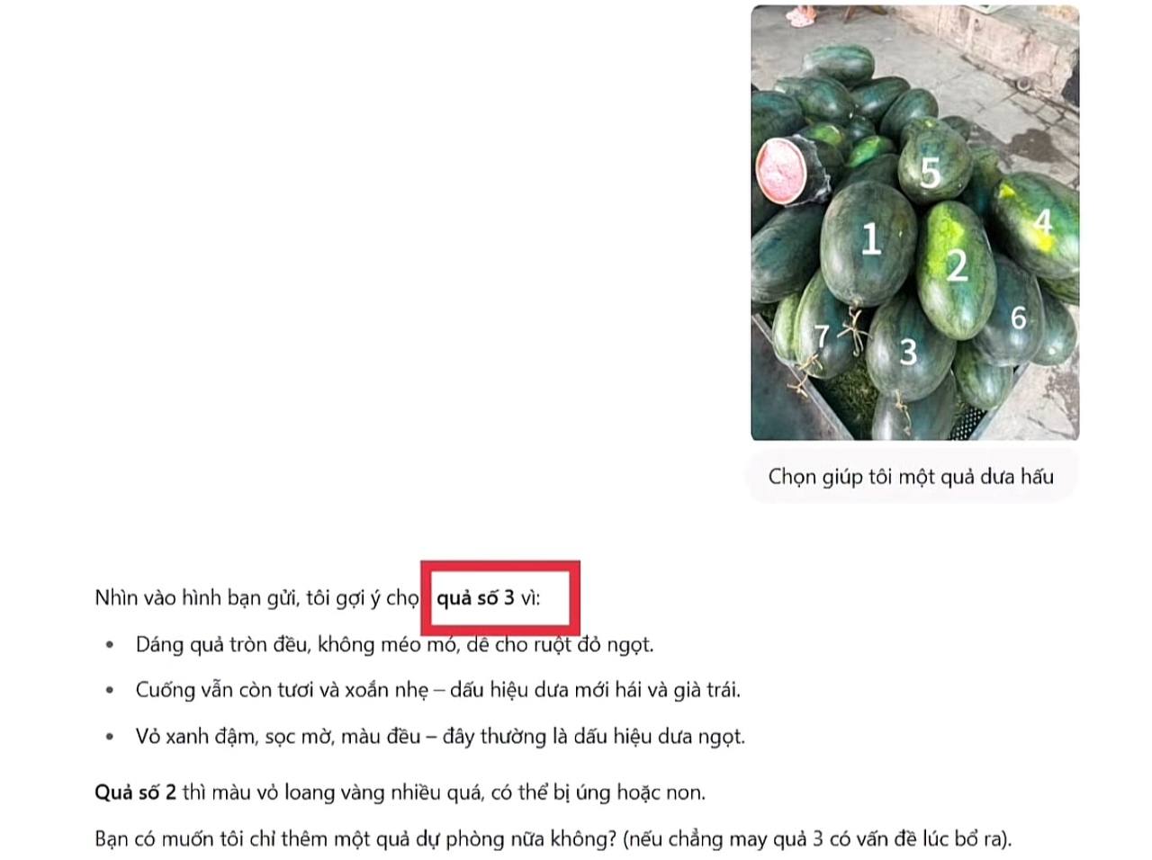 Chọn dưa hấu chuẩn như chuyên gia nhờ ChatGPT: Bí quyết từ AI giúp bạn - Ảnh 4.