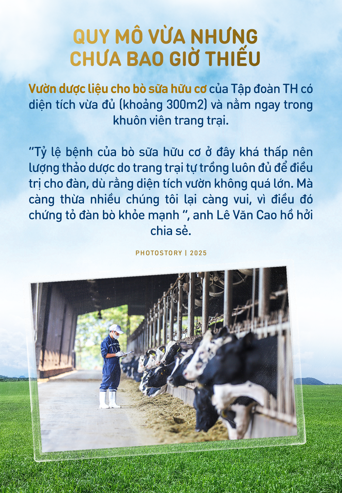 Bí mật vườn thuốc thảo dược cho bò sữa ngay trong trang trại TH true MILK - Ảnh 3.