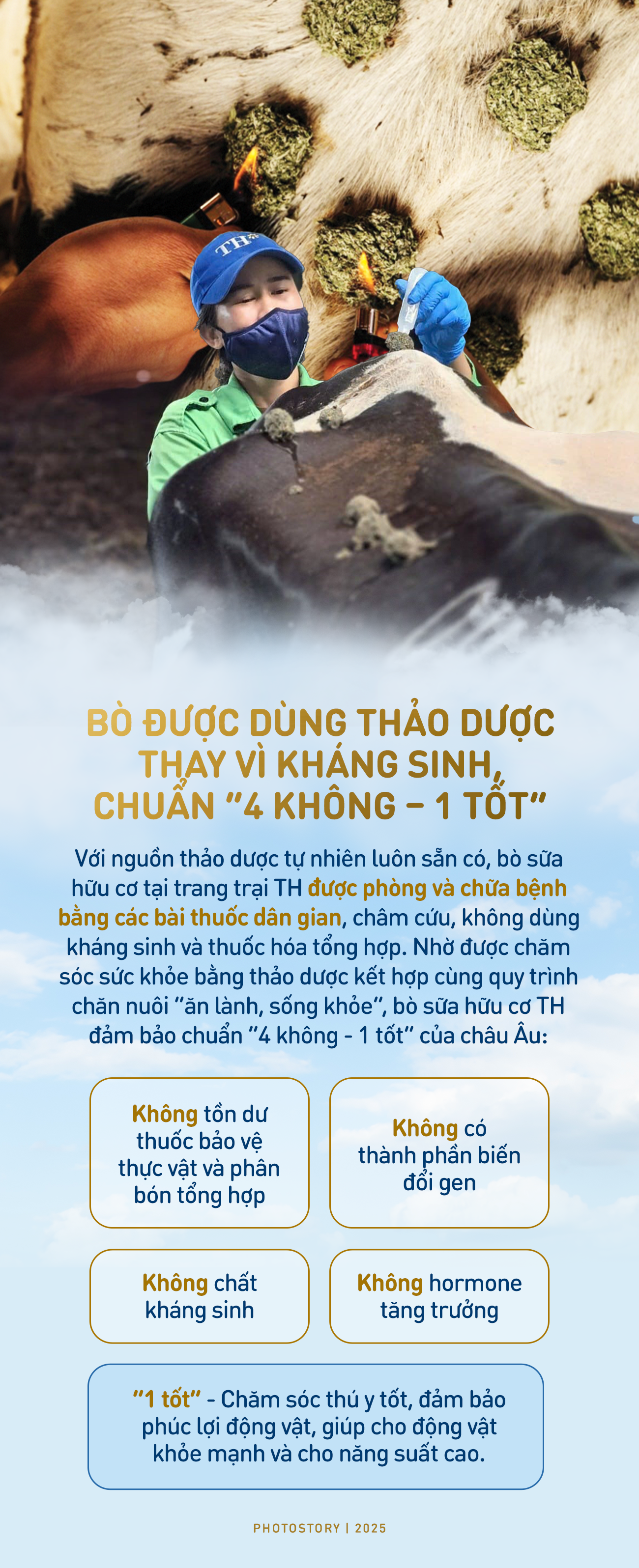 Bí mật vườn thuốc thảo dược cho bò sữa ngay trong trang trại TH true MILK - Ảnh 4.