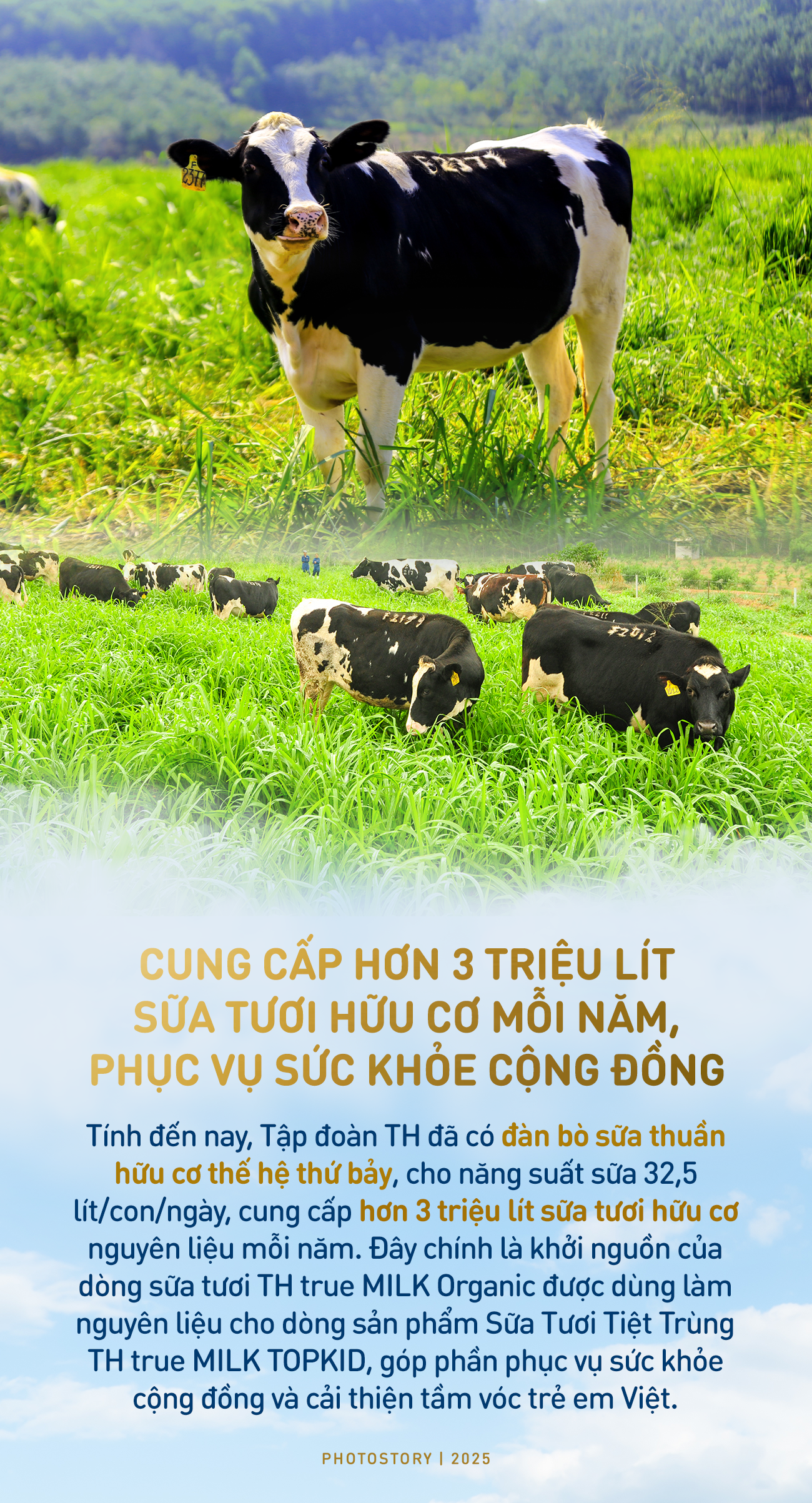 Bí mật vườn thuốc thảo dược cho bò sữa ngay trong trang trại TH true MILK - Ảnh 5.