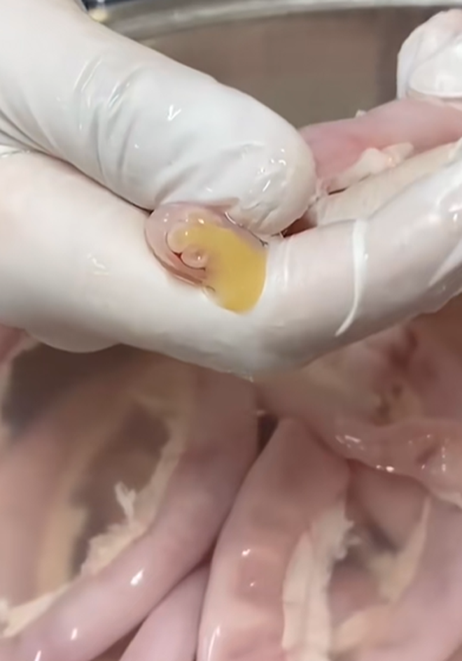 Lòng Chát Quán gây thất vọng cho khách hàng, kênh TikTok của Thế Lòng Se Điếu Lòng Chát Quán gây thất vọng cho khách hàng, kênh TikTok của Thế Lòng Se Điếu