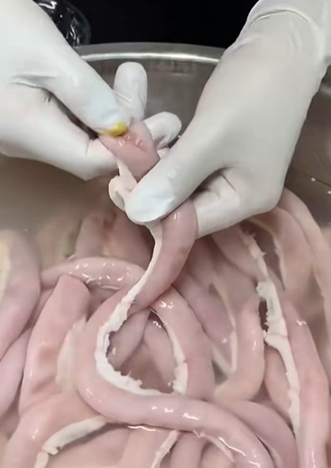 Lòng Chát Quán gây thất vọng cho khách hàng, kênh TikTok của Thế Lòng Se Điếu Lòng Chát Quán gây thất vọng cho khách hàng, kênh TikTok của Thế Lòng Se Điếu