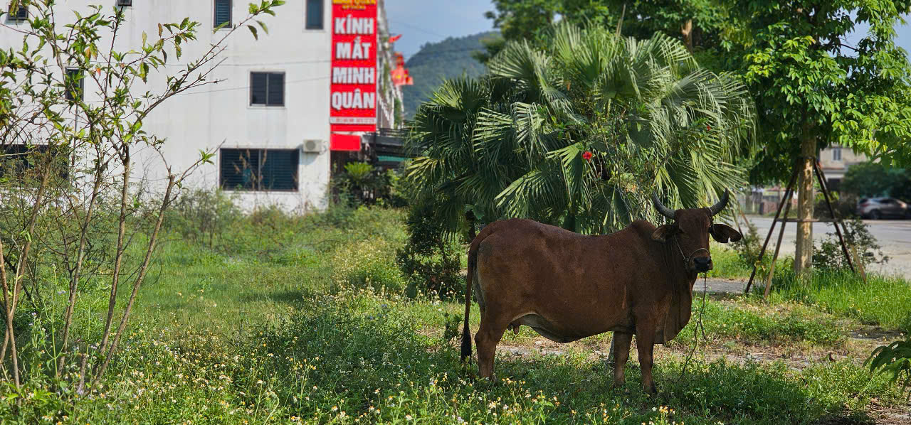 Cận cảnh khu đô thị hơn 1.400 tỉ đồng quá hạn tiến độ 6 năm vẫn chưa hoàn thành - Ảnh 16.