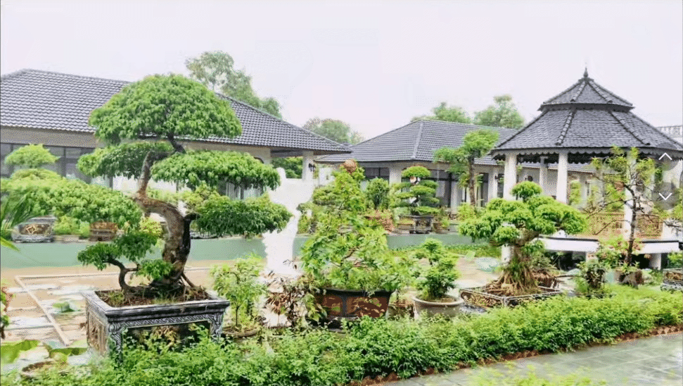 4 anh em ruột xây 4 căn villa giống hệt nhau trong khuôn viên rộng 6.000m2 ở Thanh Hóa: Resort nào đọ nổi đây?- Ảnh 12.