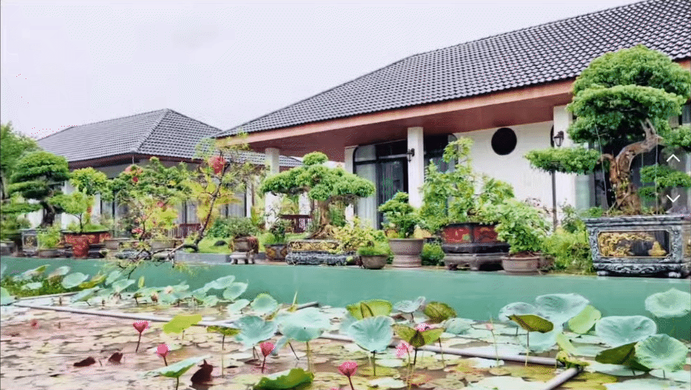 4 anh em ruột xây 4 căn villa giống hệt nhau trong khuôn viên rộng 6.000m2 ở Thanh Hóa: Resort nào đọ nổi đây?- Ảnh 6. 4 anh em ruột xây 4 căn villa giống hệt nhau trong khuôn viên rộng 6.000m2 ở Thanh Hóa: Resort nào đọ nổi đây?- Ảnh 6.