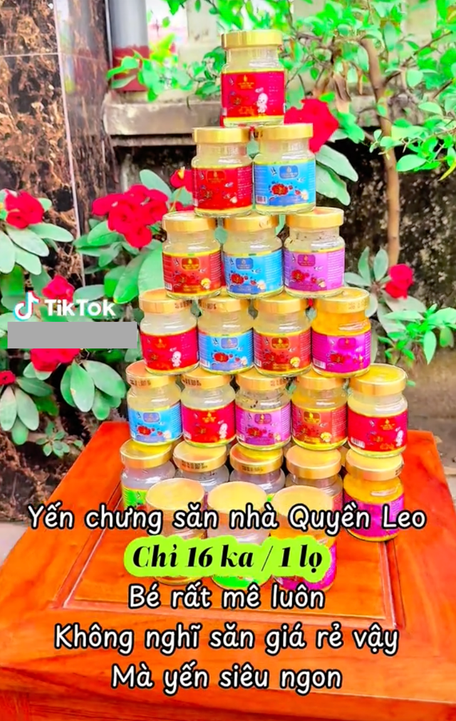 Toàn cảnh vụ