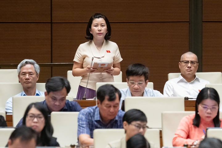 ĐBQH đề xuất tiêu chí rõ ràng trong đánh giá cán bộ công chức không đạt KPI - Ảnh 1.