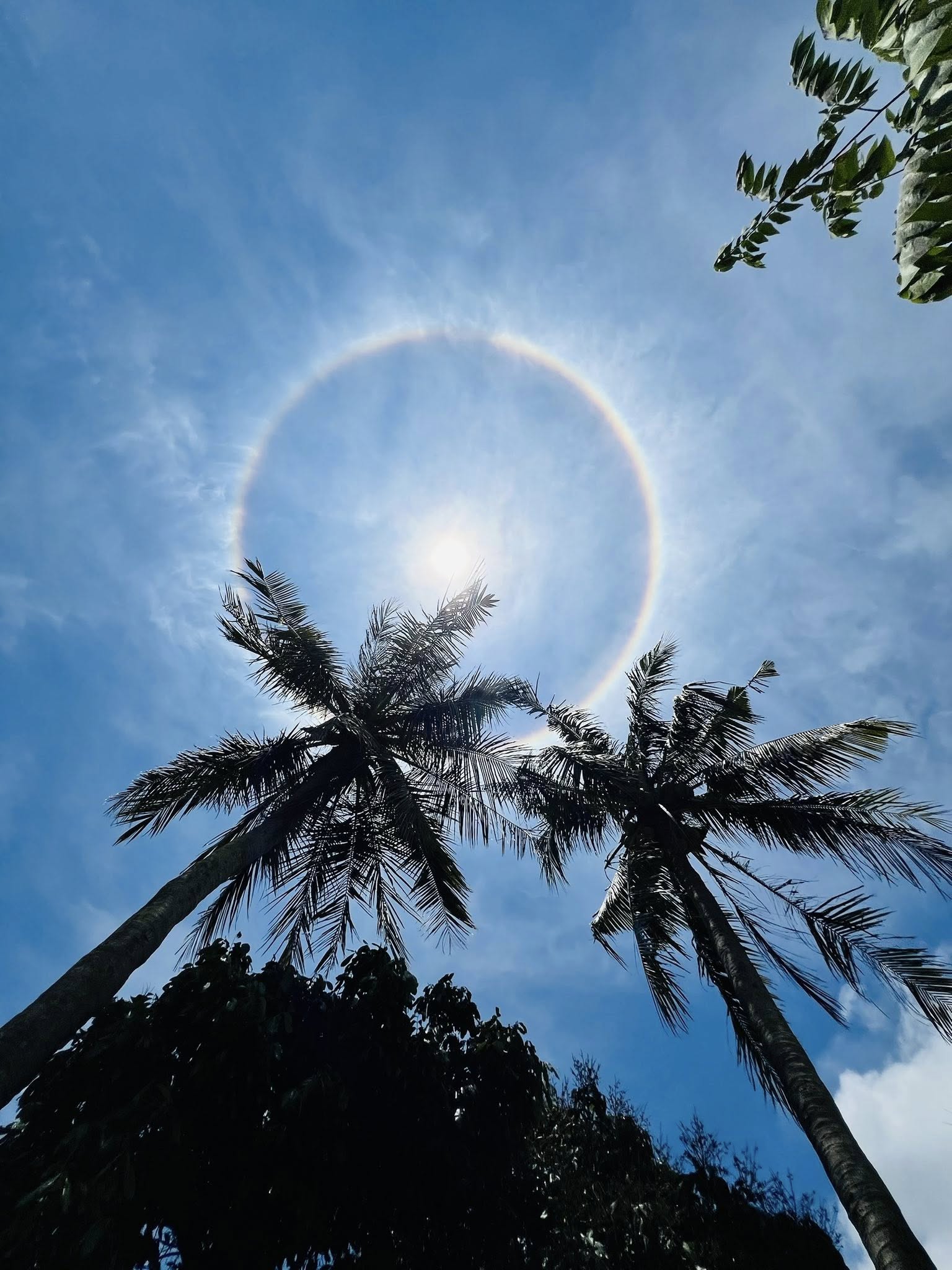 Hào quang mặt trời xuất hiện tại Quảng Ngãi- Ảnh 2.