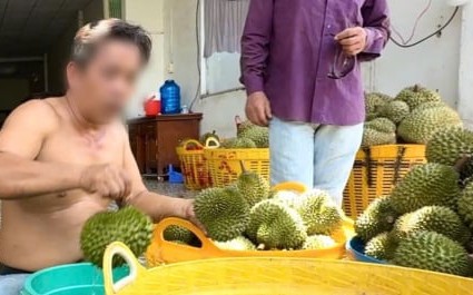 Đại phẫu 'vua' tr&aacute;i c&acirc;y tỷ USD - B&agrave;i 1: V&igrave; sao Cục Bảo vệ thực vật phớt lờ cảnh b&aacute;o? - Ảnh 4.