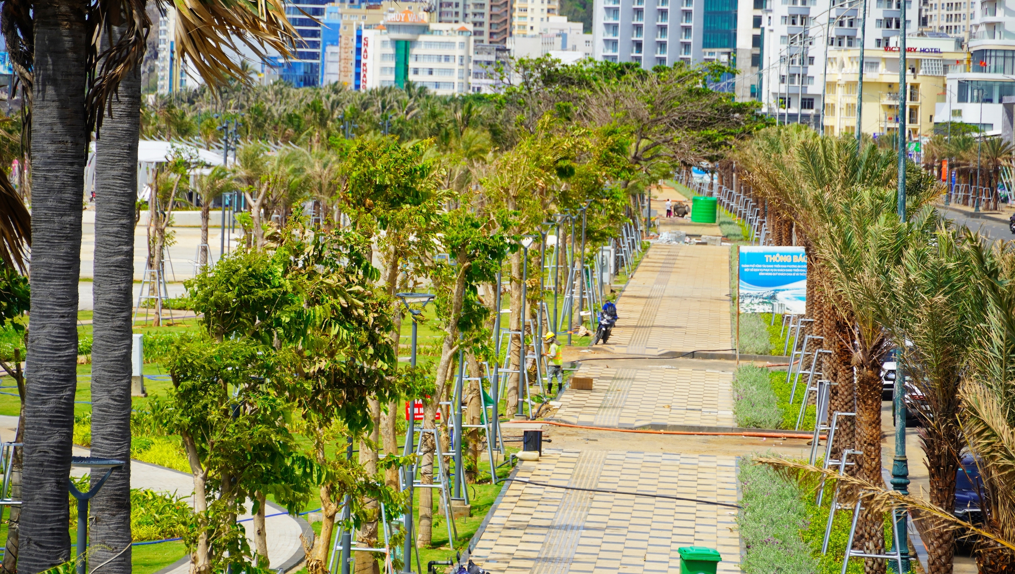 Dự án Chỉnh trang trục đường thùy Vân tại TP Vũng Tàu xử lý rác thải kịp thời - Ảnh 1.