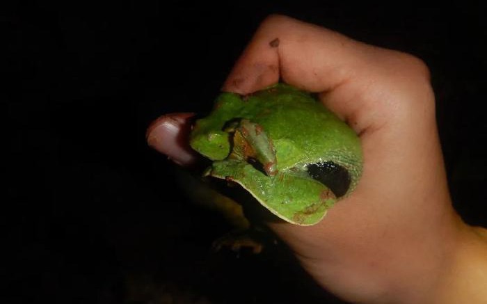 NASA đã tính toán xong chính xác thời điểm thế giới sẽ tận thế - Ảnh 3.