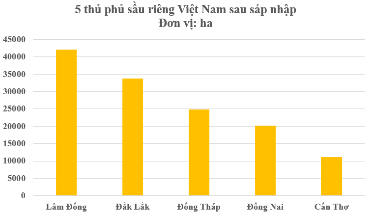 Việt Nam có thủ phủ sầu riêng mới sau sáp nhập tỉnh thành, diện tích trồng chiếm 1/4 cả nước- Ảnh 2.