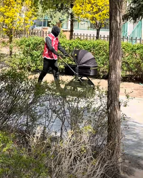 Xuất hiện vật thể toàn thân đen thui đẩy xe em bé trên phố: Không phải con người?- Ảnh 6. Xuất hiện vật thể toàn thân đen thui đẩy xe em bé trên phố: Không phải con người?- Ảnh 6.