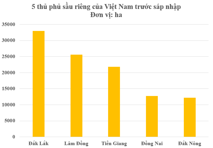 Việt Nam có thủ phủ sầu riêng mới sau sáp nhập tỉnh thành, diện tích trồng chiếm 1/4 cả nước- Ảnh 1.