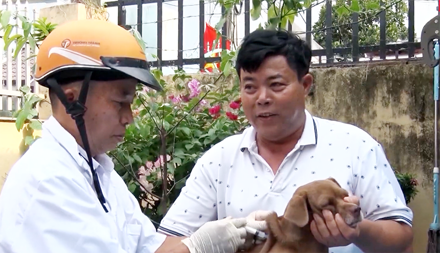 B&eacute; trai 2 tuổi ở Đồng Nai bị ch&oacute; nghi dại cắn v&agrave;o đầu - Ảnh 1.