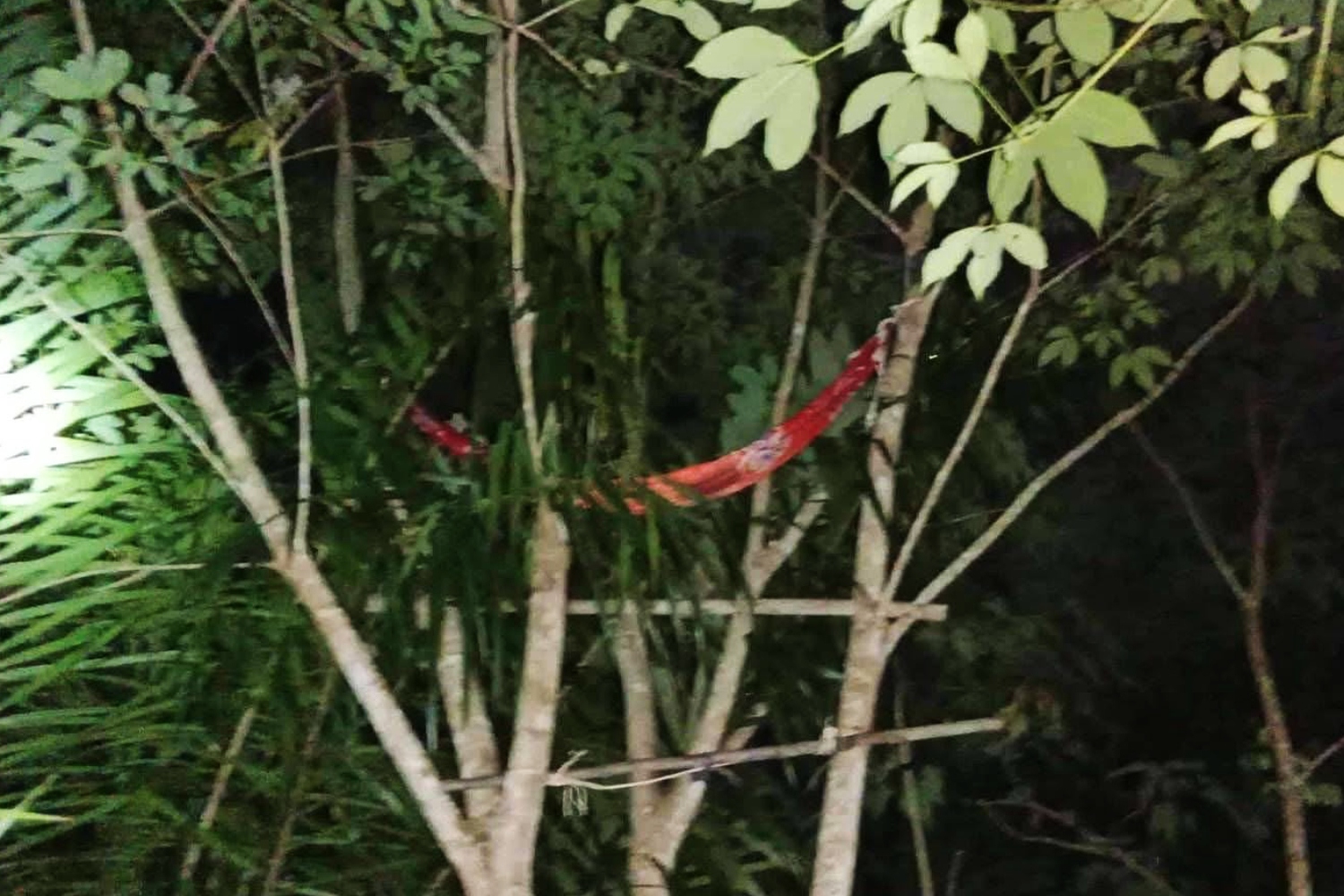 Kiểm l&acirc;m bị thợ săn bắn tử vong v&igrave; nhầm l&agrave; lợn rừng- Ảnh 1.