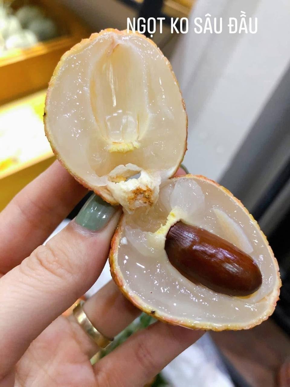 - Ảnh 14.