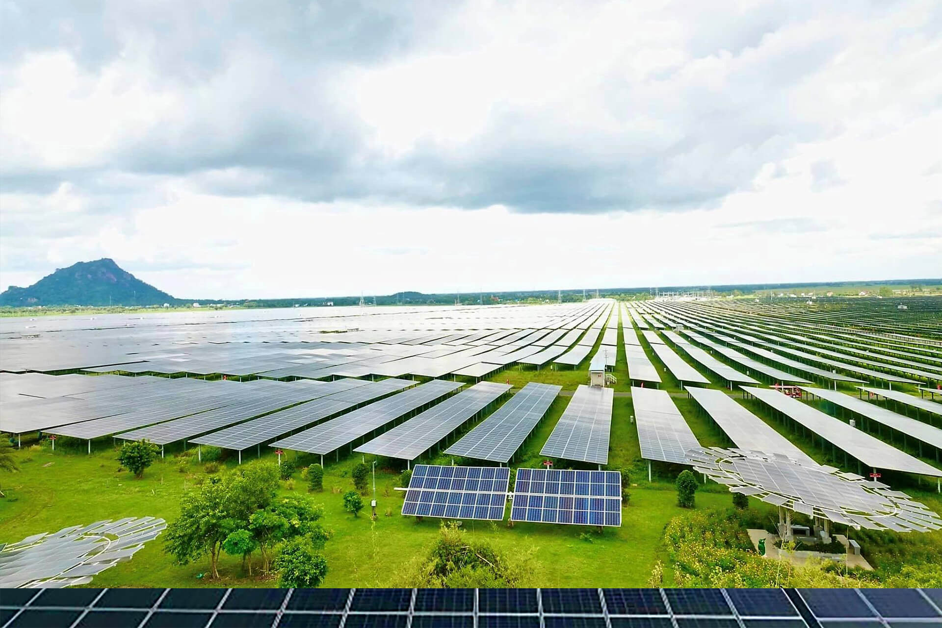 Tập đoàn Sao Mai góp 75% vốn tại doanh nghiệp điện gió- Ảnh 2.