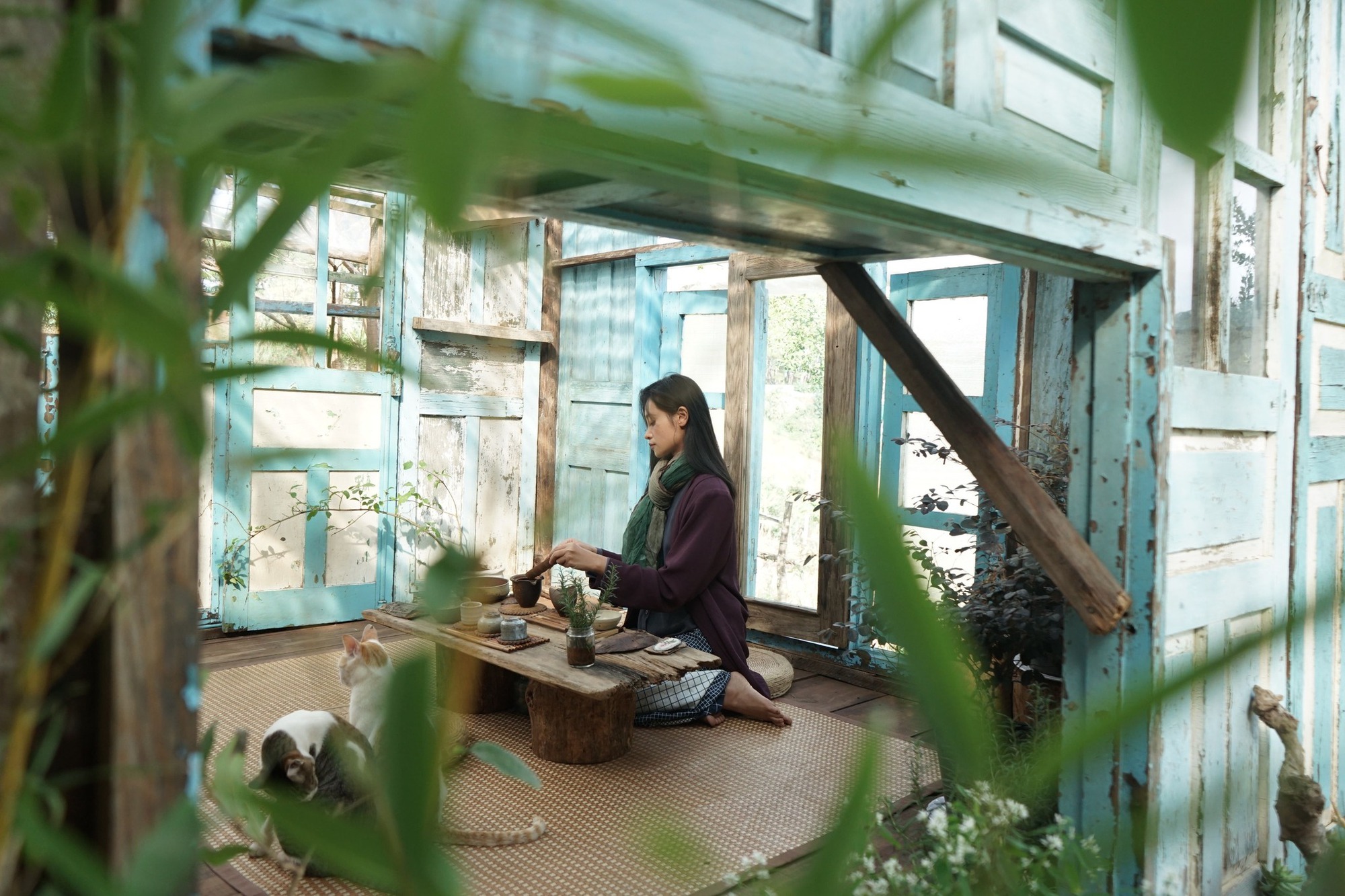 Những cô gái bỏ phố về rừng: Gieo mầm xanh từ những giấc mơ lành - Ảnh 1. Những cô gái bỏ phố về rừng: Gieo mầm xanh từ những giấc mơ lành - Ảnh 1.