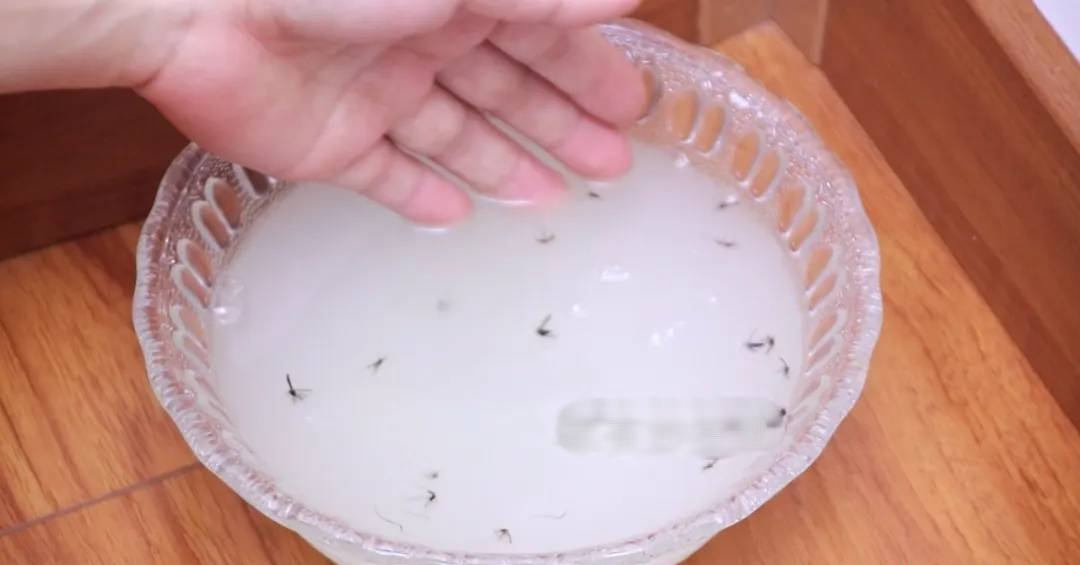 Bát nước thần đuổi muỗi hiệu quả, không hóa chất an toàn cho gia đình - Ảnh 4.