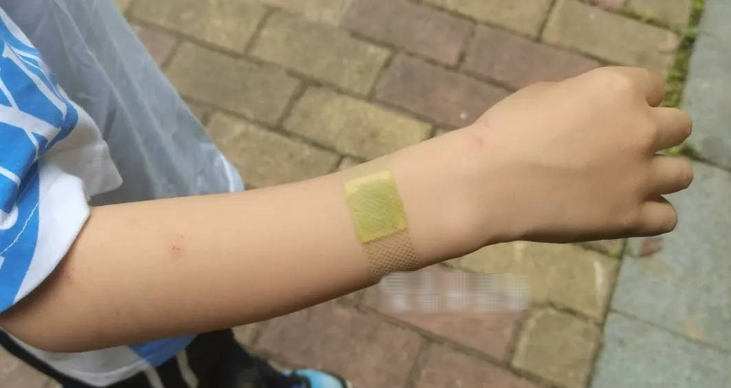 Bát nước thần đuổi muỗi hiệu quả, không hóa chất an toàn cho gia đình - Ảnh 5.