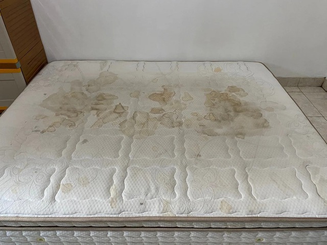 2 thứ bẩn nhất trên giường chứa ổ bệnh mà nhiều người bỏ quên - Ảnh 2.
