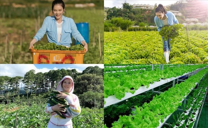 Nữ diễn viên sở hữu nông trại 50.000m² ở Đà Lạt, 5 két sắt kim cương, bỏ đóng phim vẫn hot khủng khiếp - Ảnh 7.