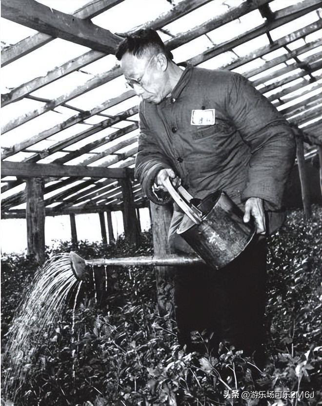 Sau khi trở thành dân thường, Phổ Nghi xin làm 2 nghề này nhưng đều bị từ chối, lý do vì sao?- Ảnh 3.